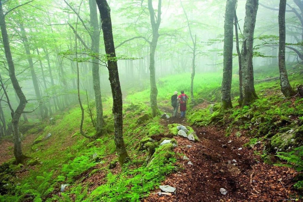 Los Molinos - Atico En Montana De Asturias Felechosa Bagian luar foto