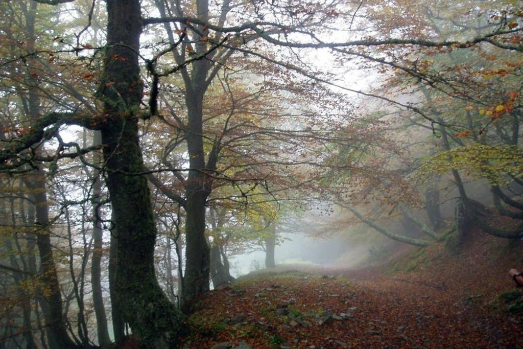 Los Molinos - Atico En Montana De Asturias Felechosa Bagian luar foto